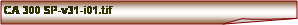 Zahnut roh: CA 300 SP-v31-i01.tif