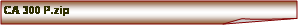 Zahnut roh: CA 300 P.zip